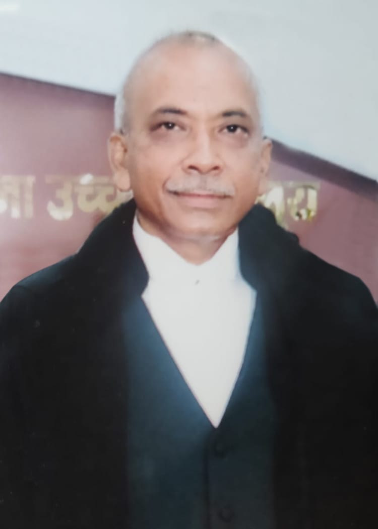 Judge